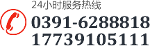 0391-7431555